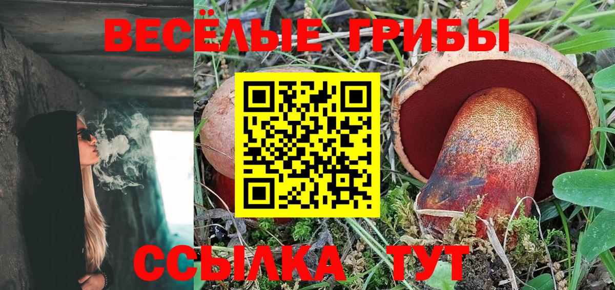 Галлюциногенные грибы Psilocybine cubensis  хочу наркоту  Нальчик  Вход с VPN 