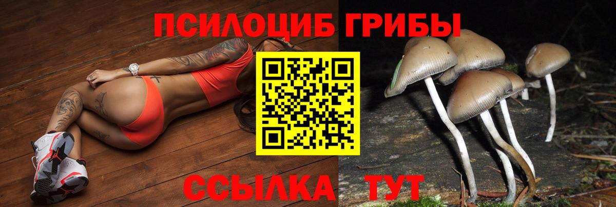 Галлюциногенные грибы ЛСД Нальчик